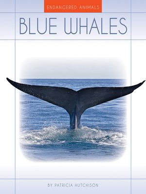 Blue Whales - ebook